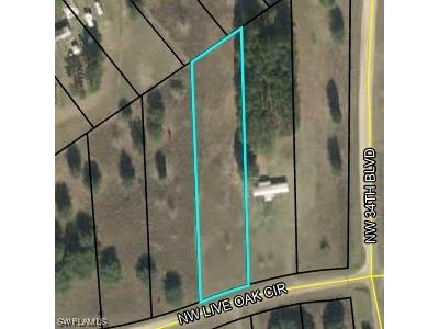 NW Live Oak Circle Jennings FL 32053 223093398 image1