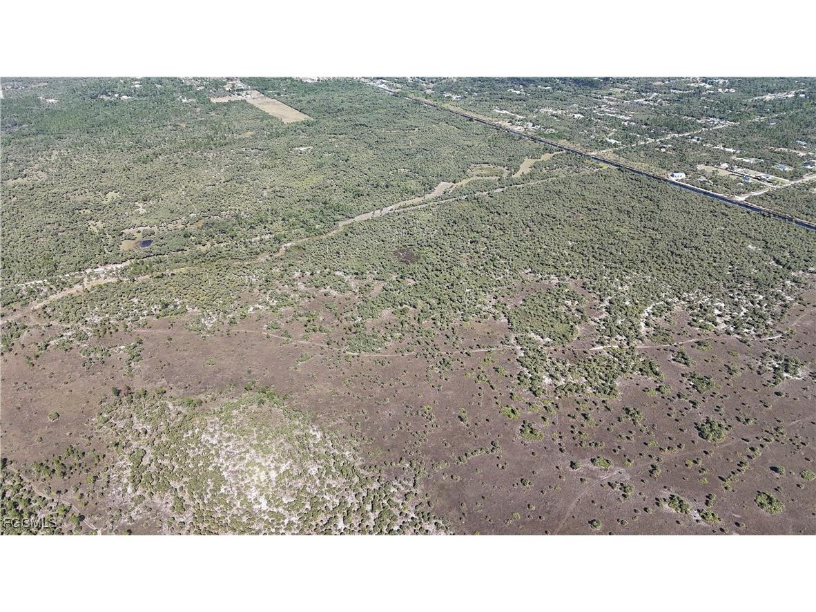  Naples FL 34117 2025025559 image14