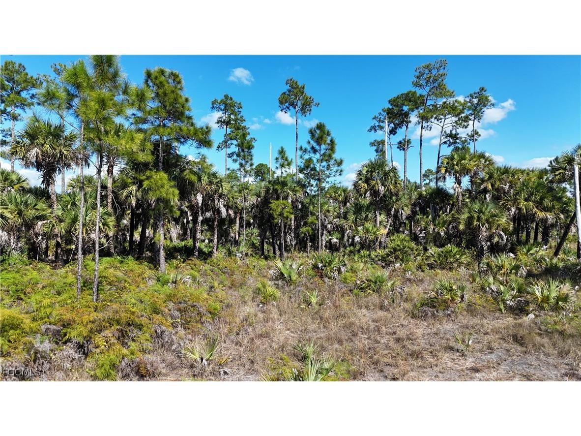  Naples FL 34117 2025025559 image16