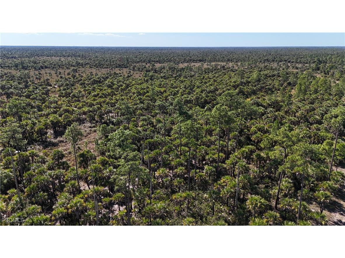  Naples FL 34117 2025025559 image17