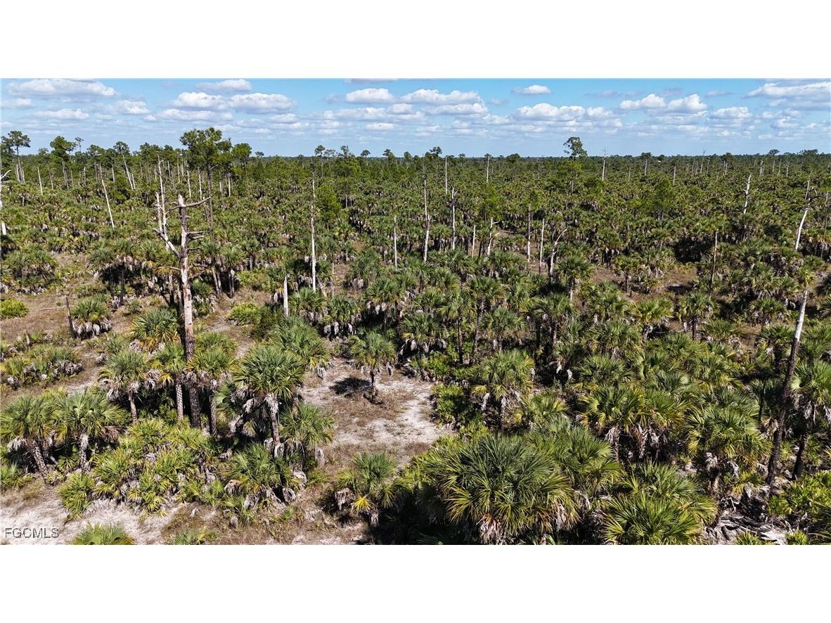  Naples FL 34117 2025025559 image27