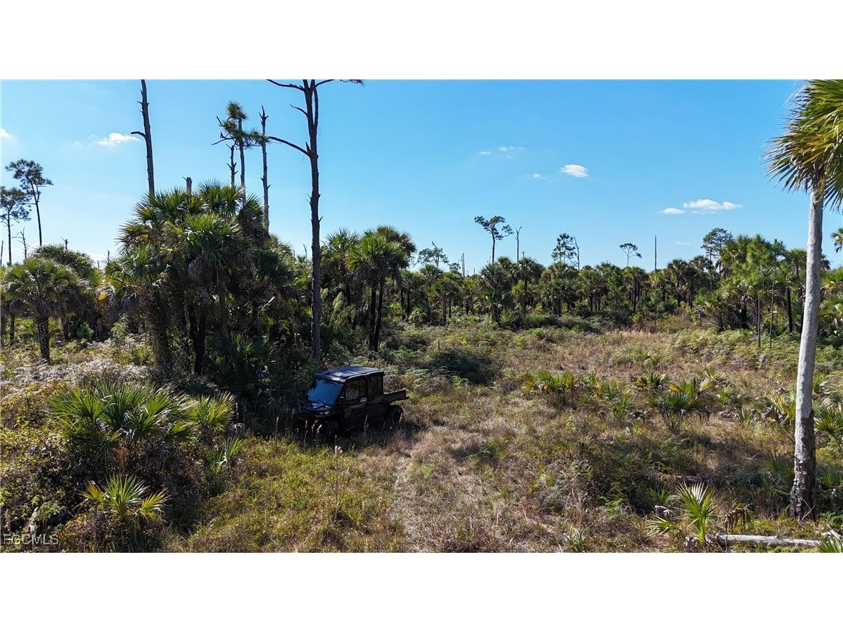  Naples FL 34117 2025025559 image33
