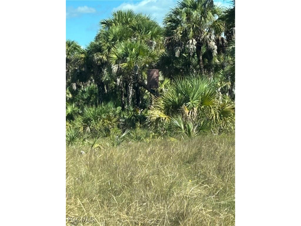  Naples FL 34117 2025025559 image35
