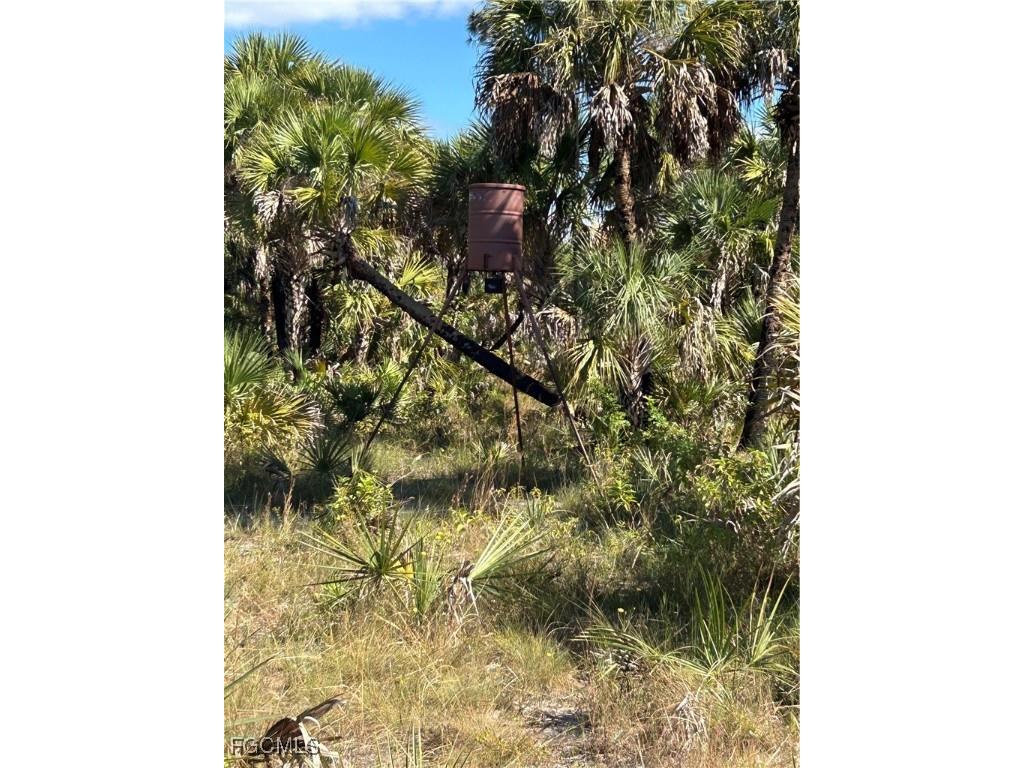  Naples FL 34117 2025025559 image36