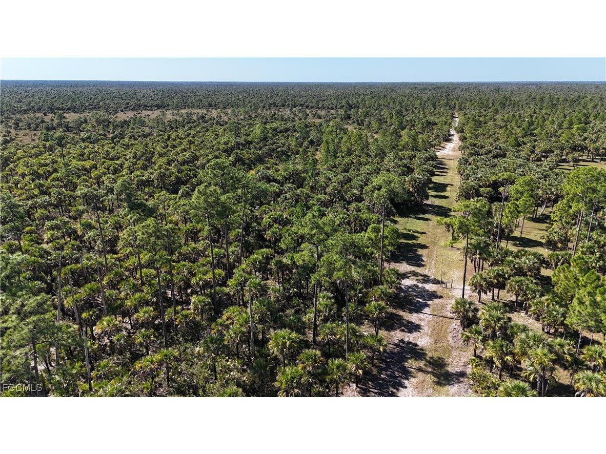  Naples FL 34117 2025025559 image5