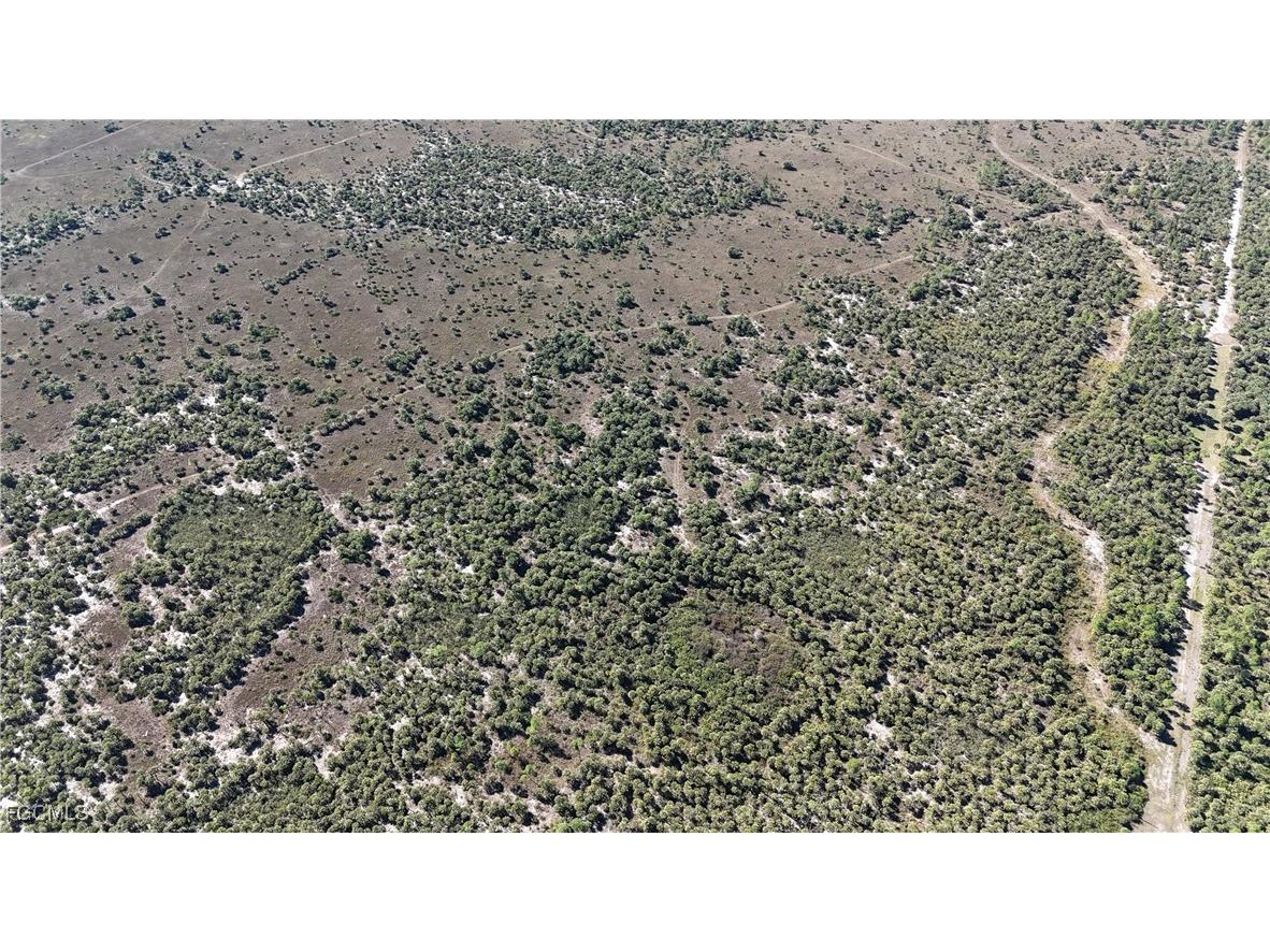 Naples FL 34117 2025025559 image8