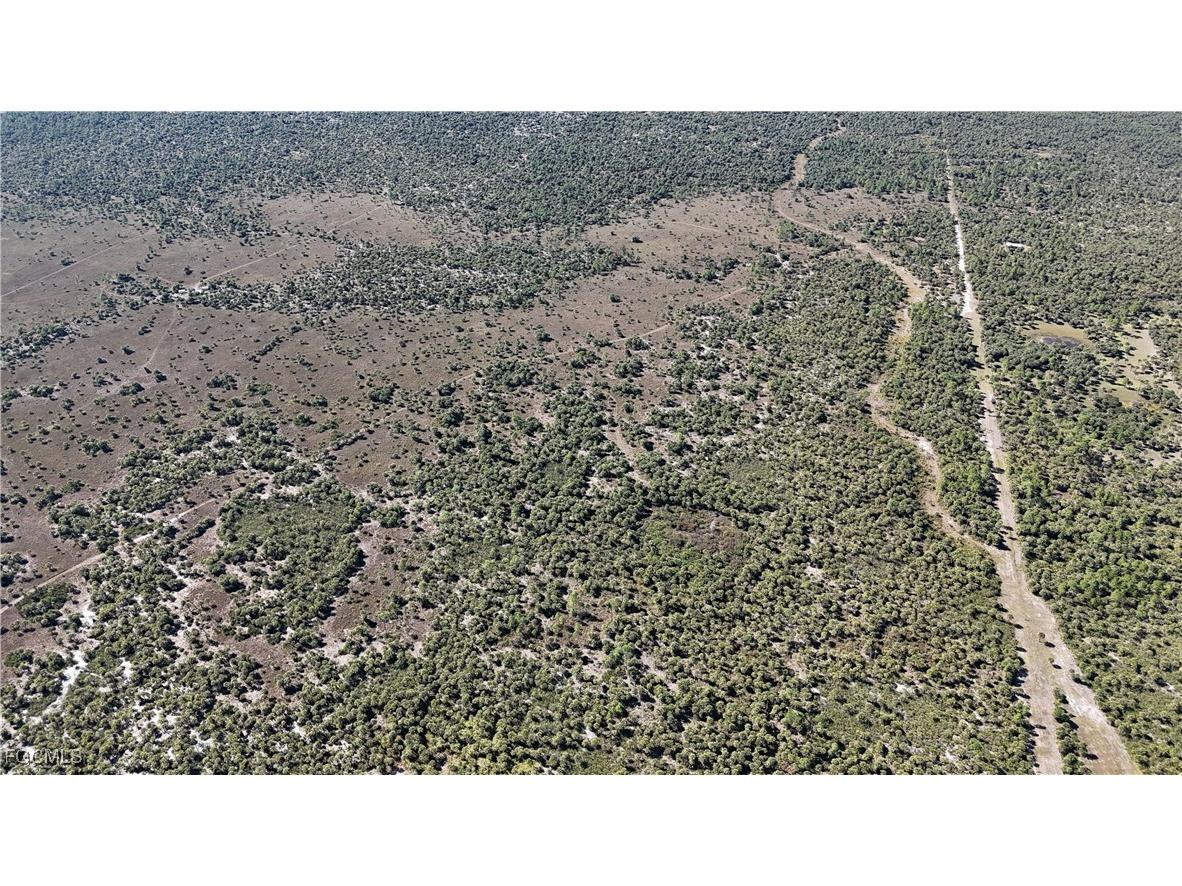  Naples FL 34117 2025025559 image9