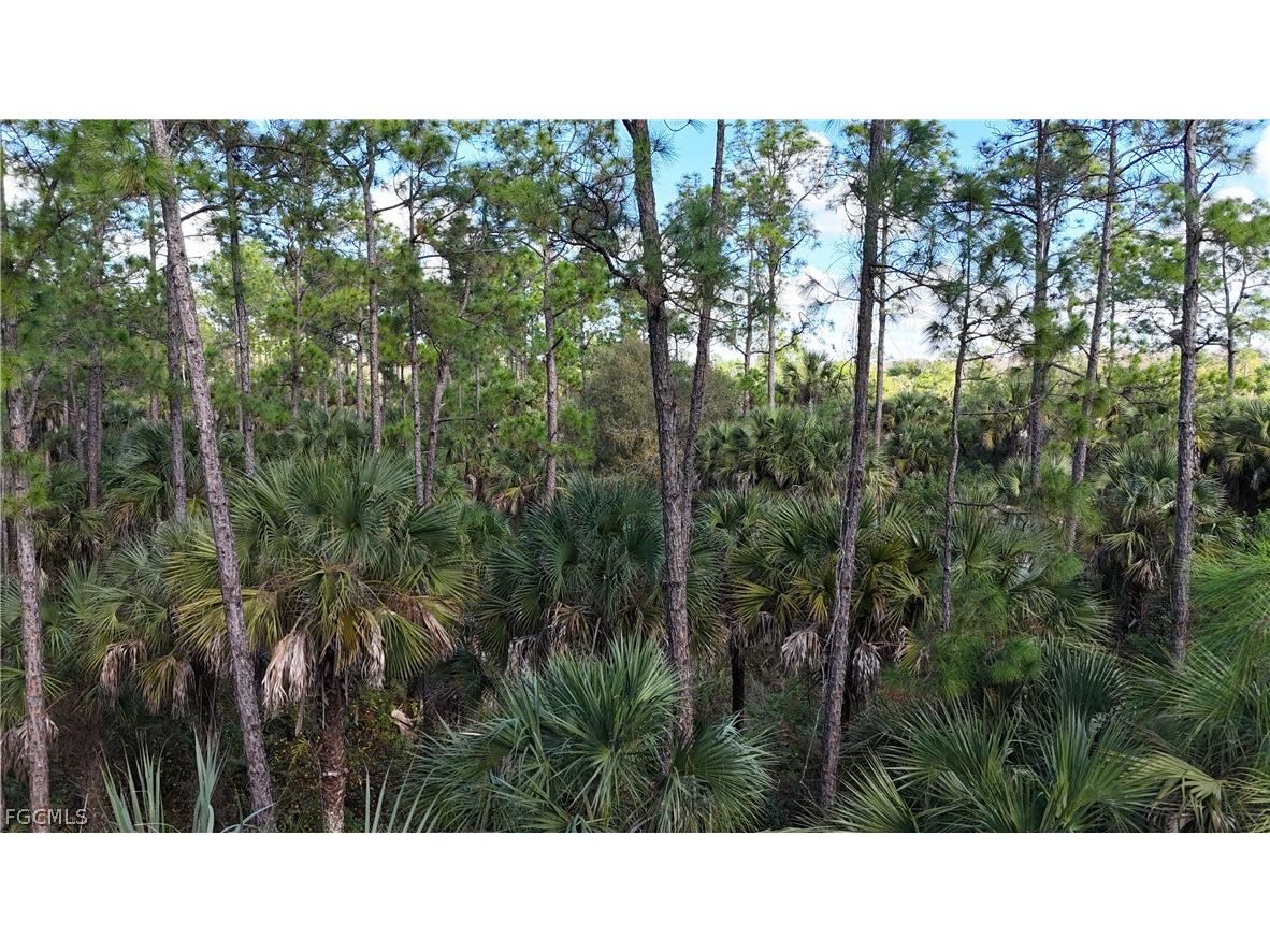  Naples FL 34117 2026009138 image10