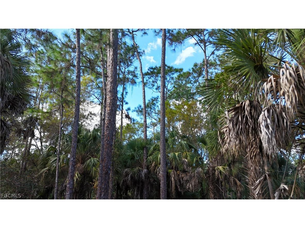  Naples FL 34117 2026009138 image11