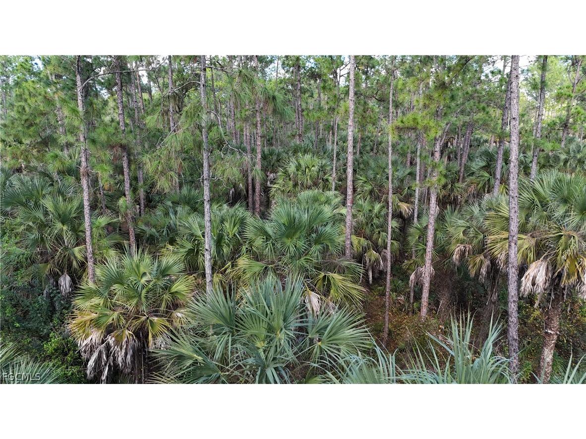  Naples FL 34117 2026009138 image12