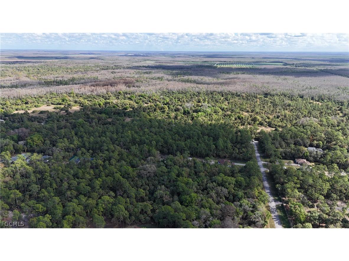  Naples FL 34117 2026009138 image25