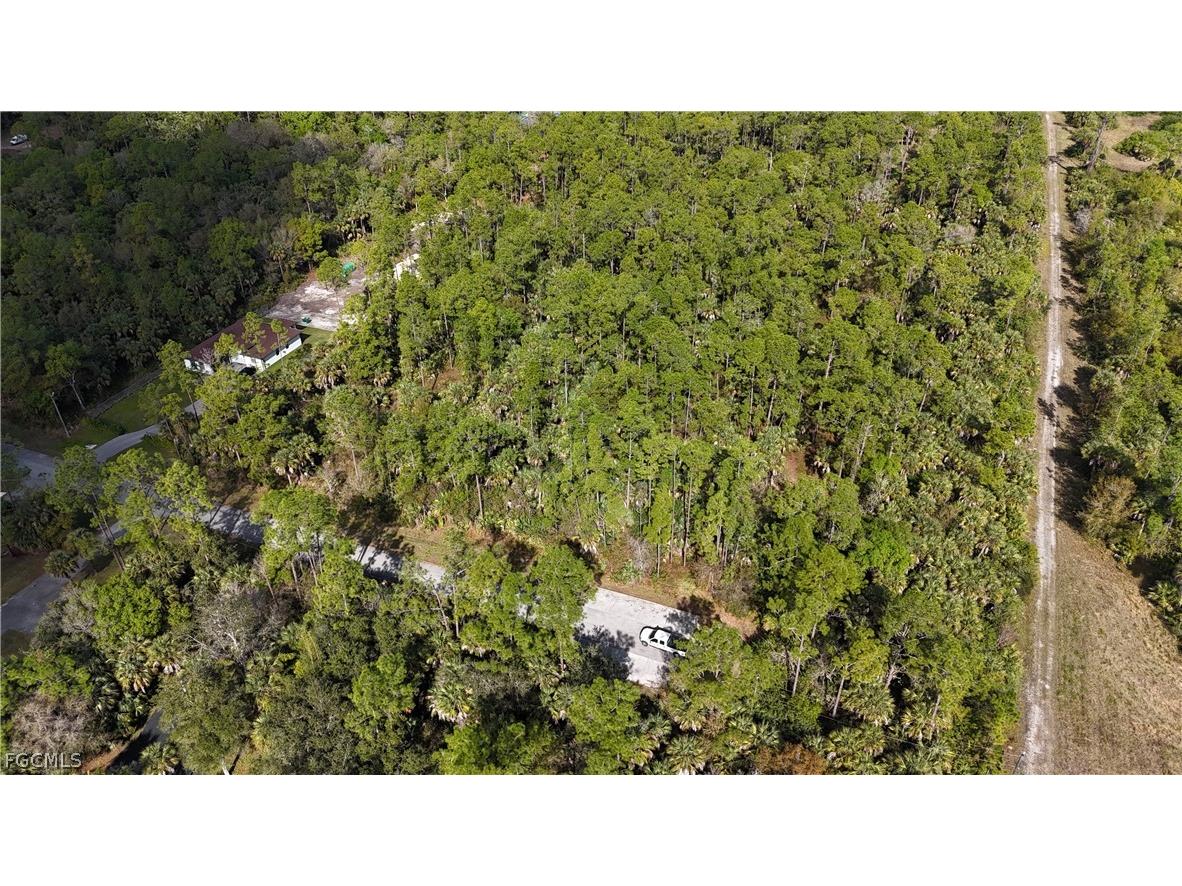  Naples FL 34117 2026009138 image3