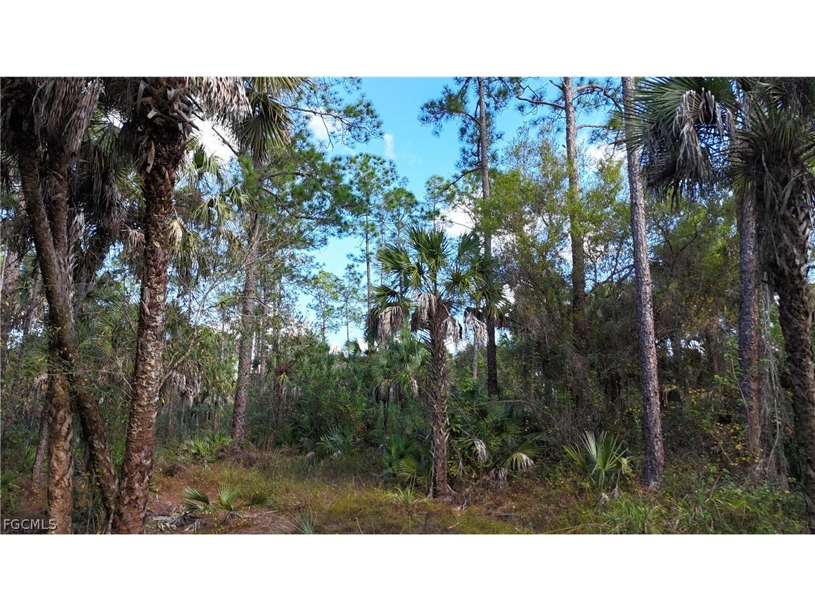  Naples FL 34117 2026009138 image7