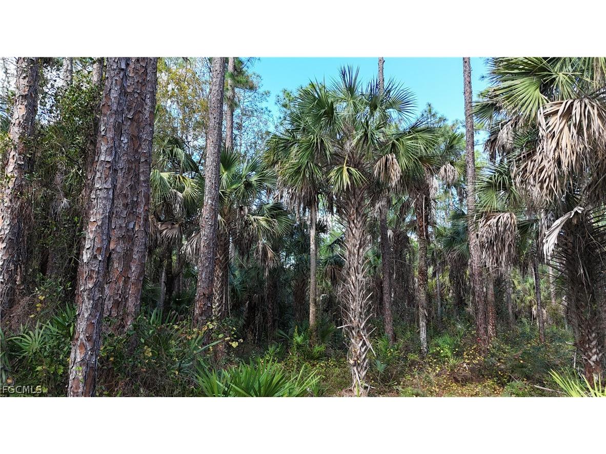  Naples FL 34117 2026009138 image8