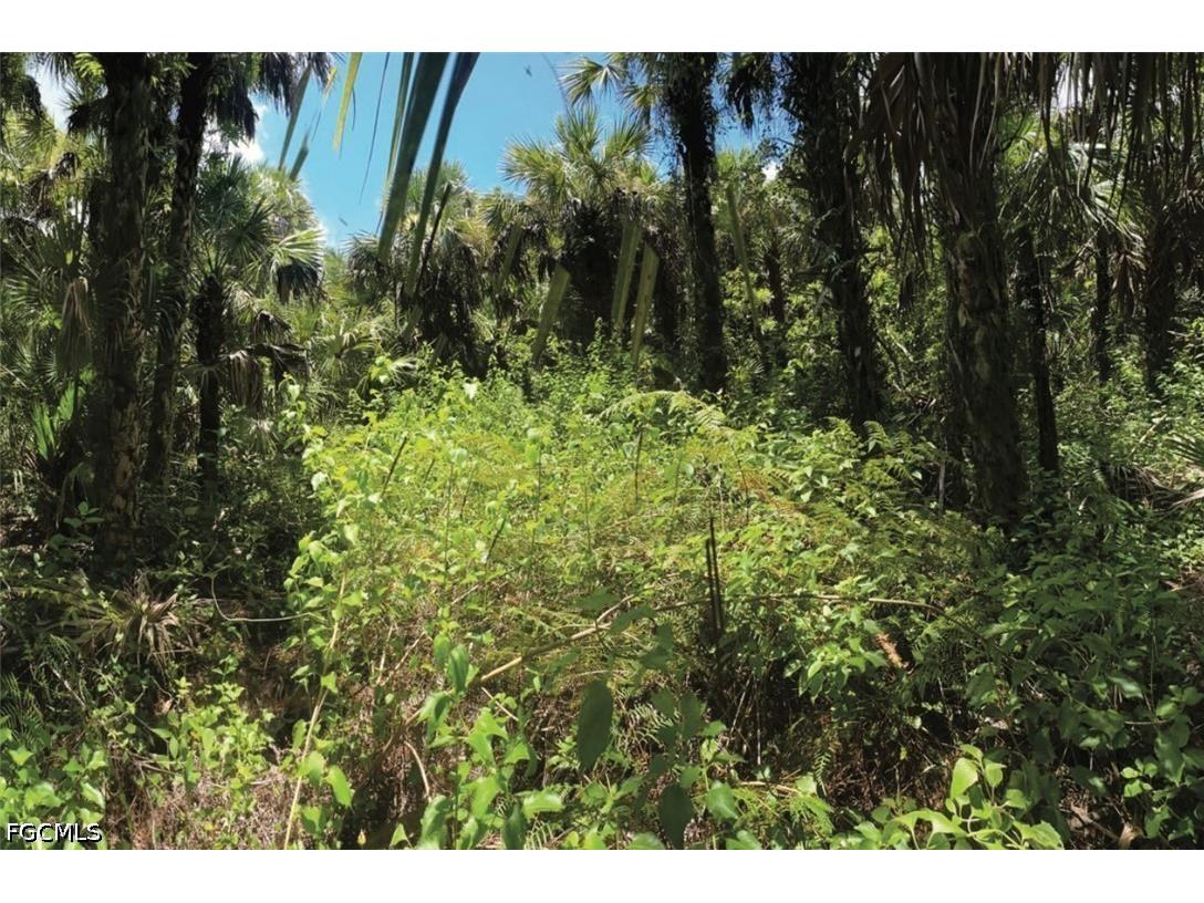  Naples FL 34117 2026028939 image1