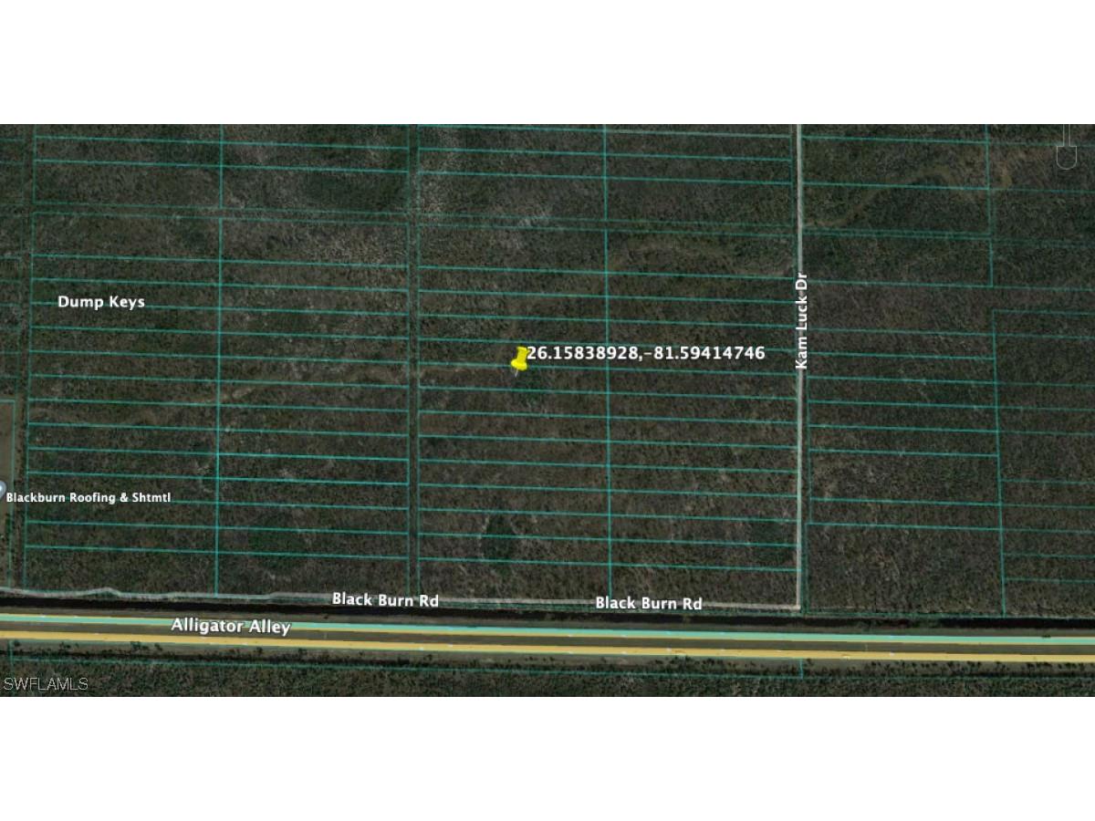  Naples FL 34117 223019196 image1