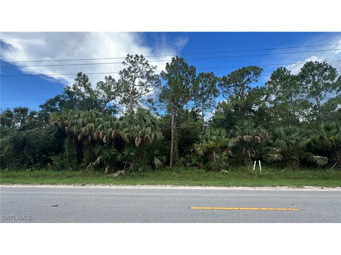  Naples FL 34117 225058878 image1