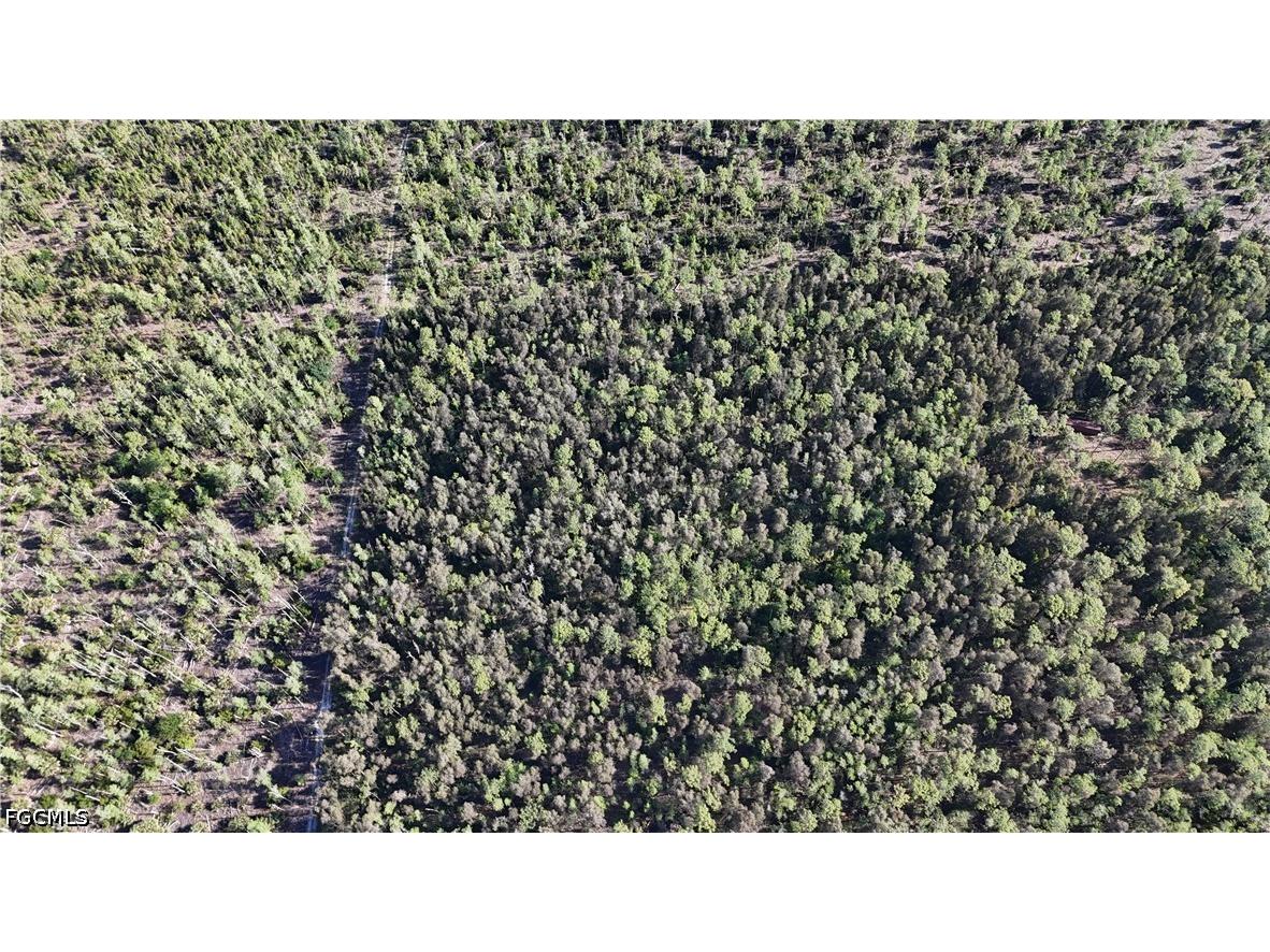  Naples FL 34119 2026019322 image9