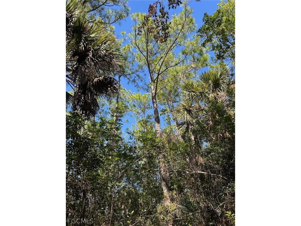  Naples FL 34120 2026007829 image36