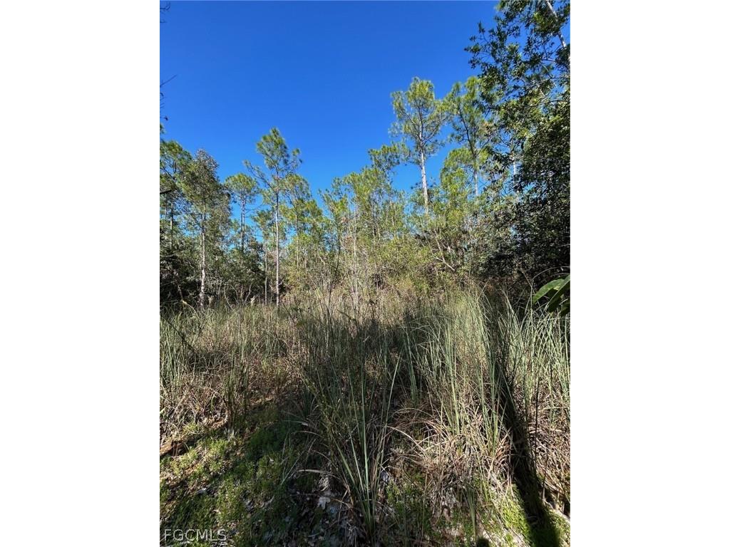  Naples FL 34120 2026007829 image37