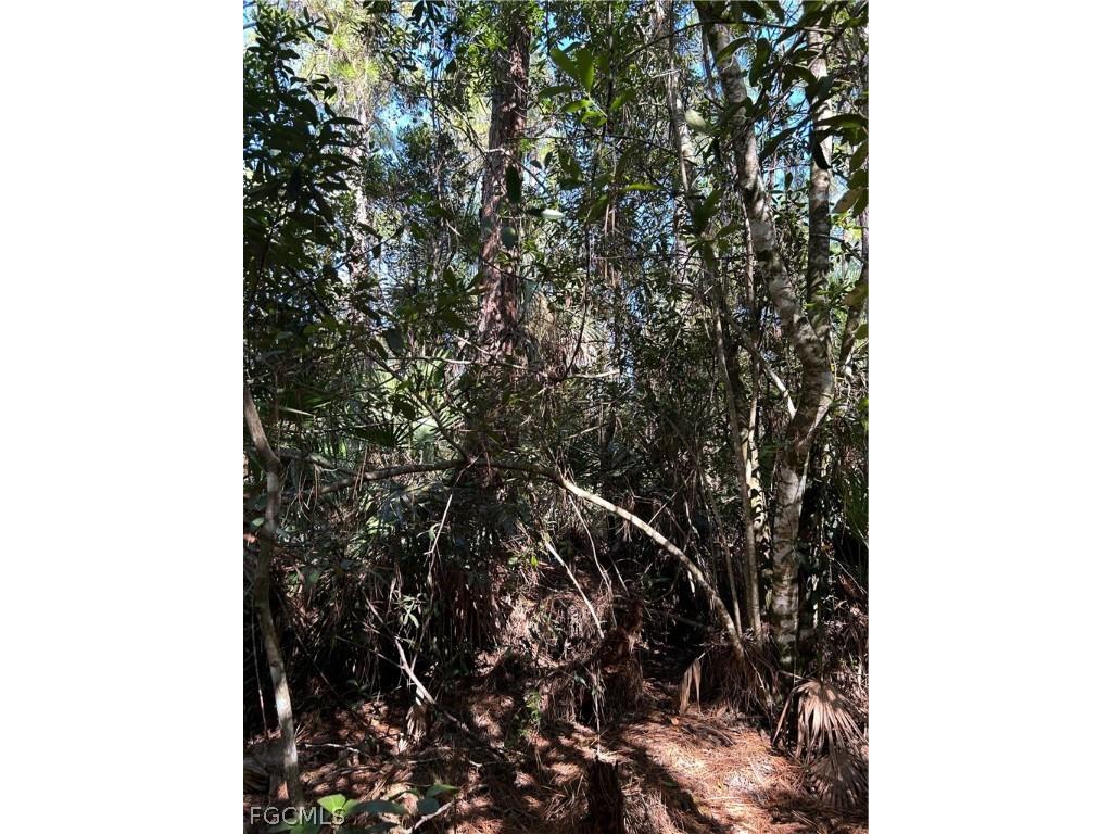  Naples FL 34120 2026007829 image39