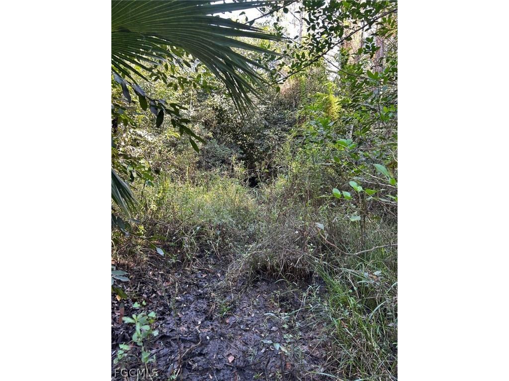  Naples FL 34120 2026007829 image40