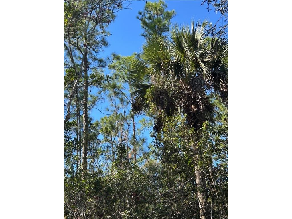  Naples FL 34120 2026007829 image9