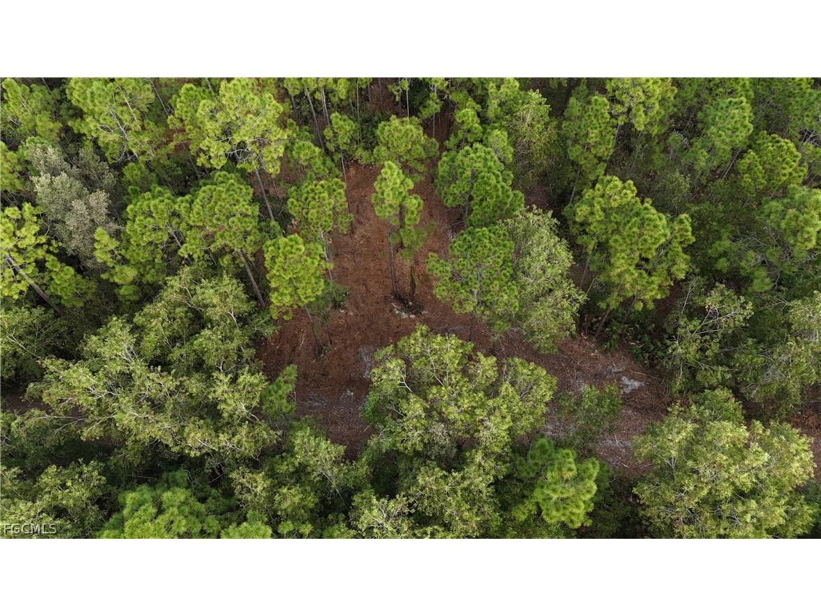  Naples FL 34120 2026008160 image10