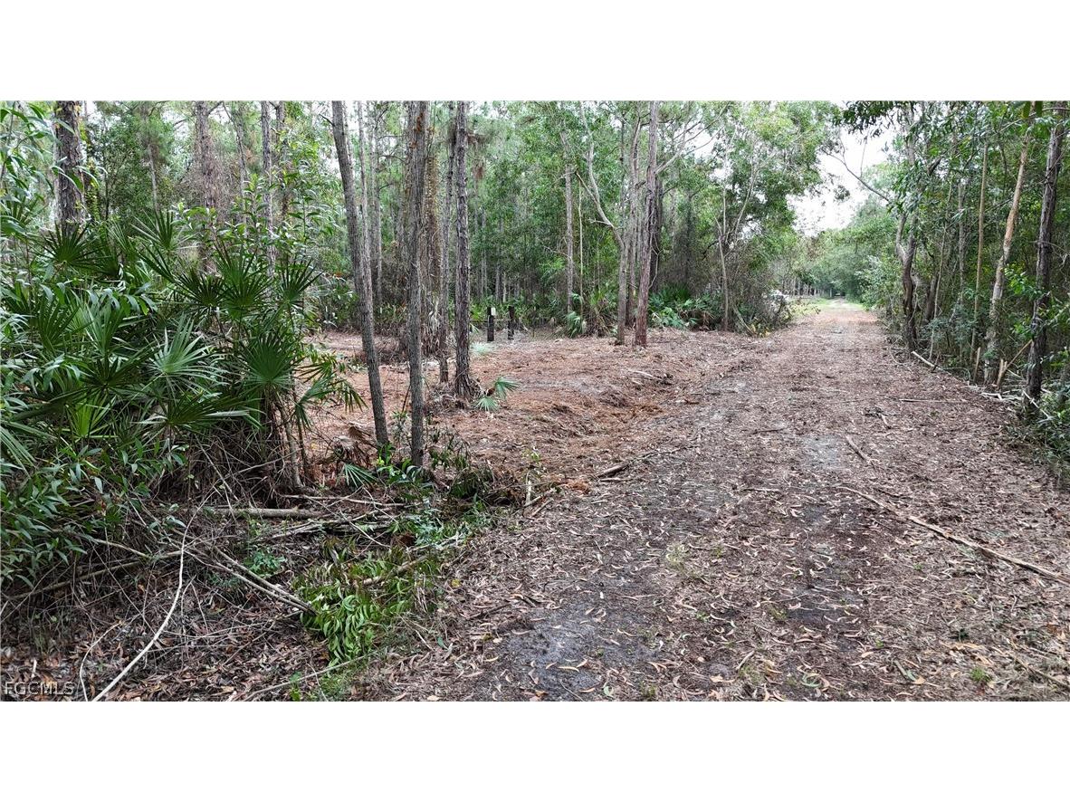  Naples FL 34120 2026008160 image13