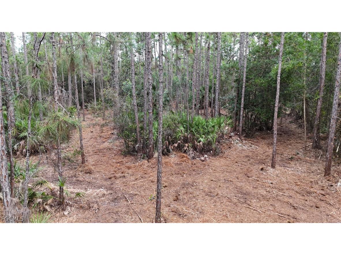 Naples FL 34120 2026008160 image14