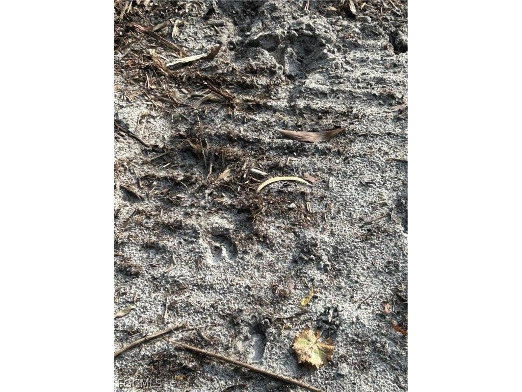  Naples FL 34120 2026008160 image18