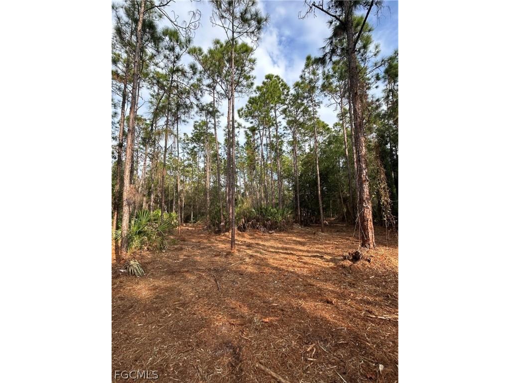  Naples FL 34120 2026008160 image25