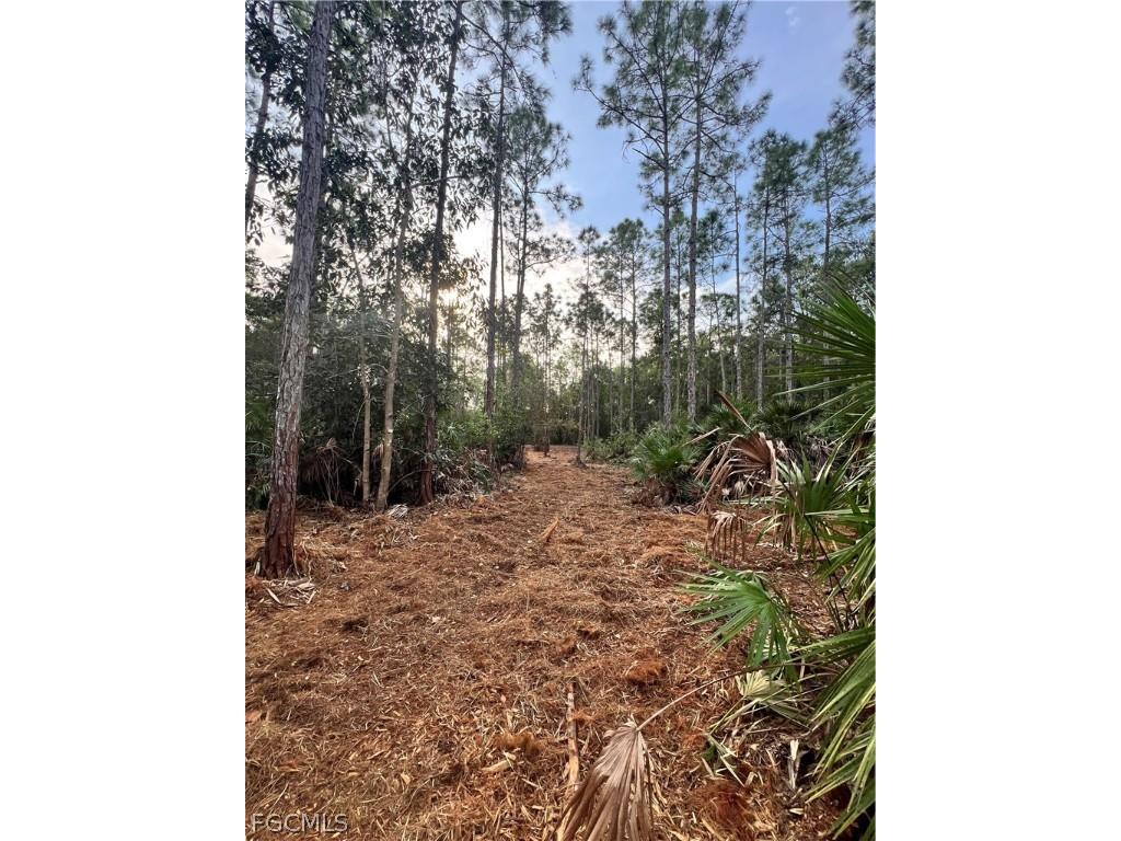  Naples FL 34120 2026008160 image3