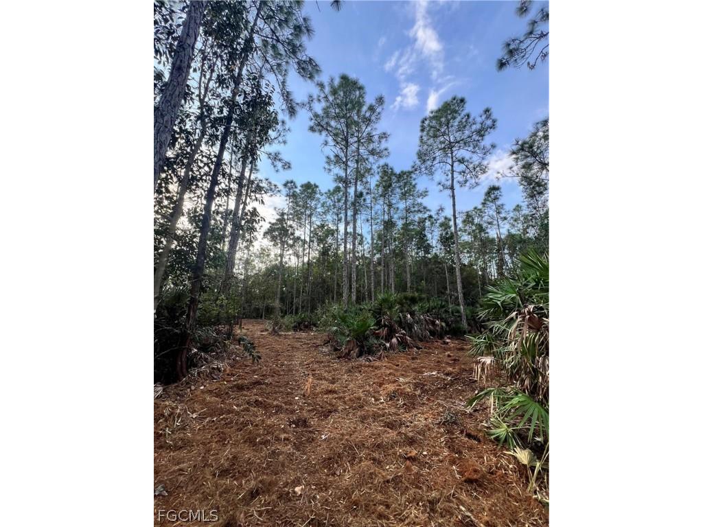  Naples FL 34120 2026008160 image32