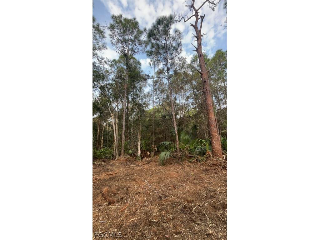  Naples FL 34120 2026008160 image34