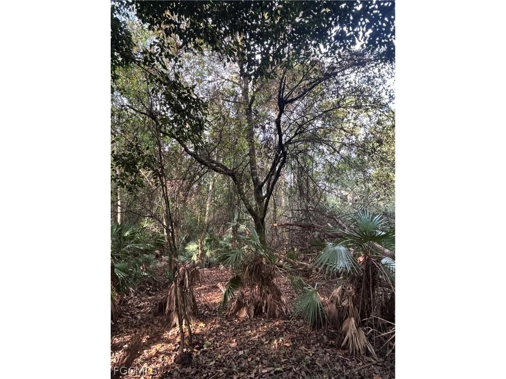  Naples FL 34120 2026008160 image36