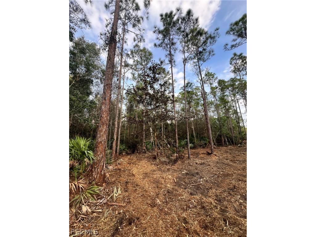  Naples FL 34120 2026008160 image43
