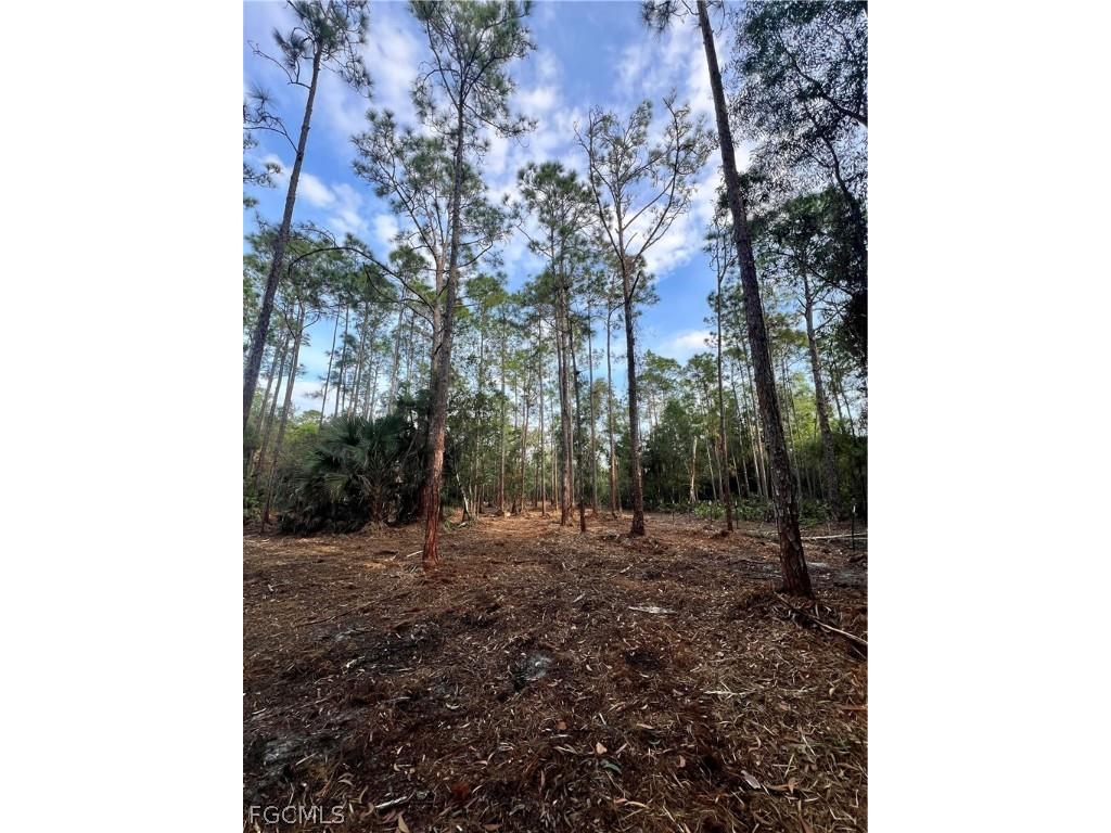  Naples FL 34120 2026008160 image45