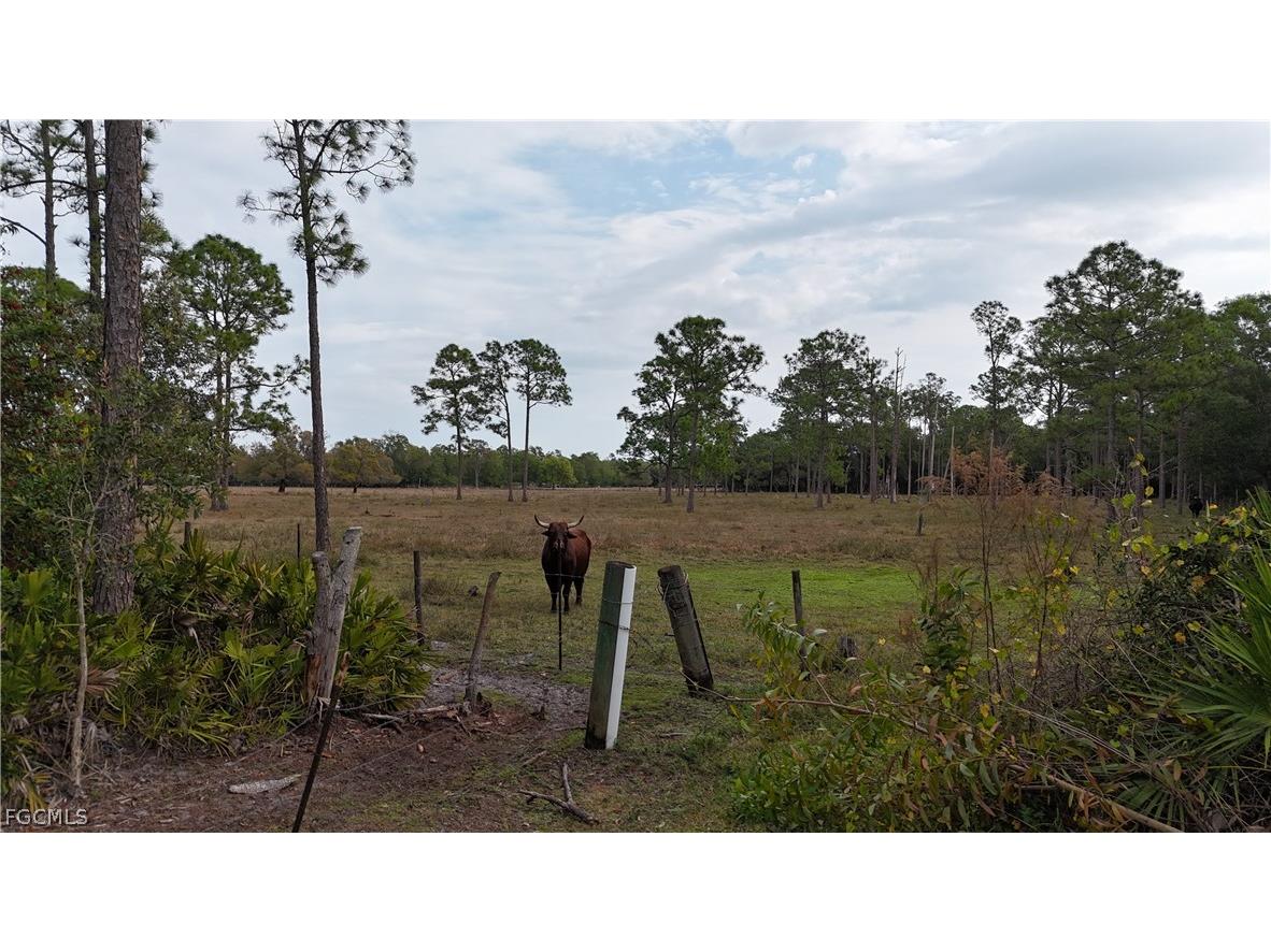  Naples FL 34120 2026008160 image50