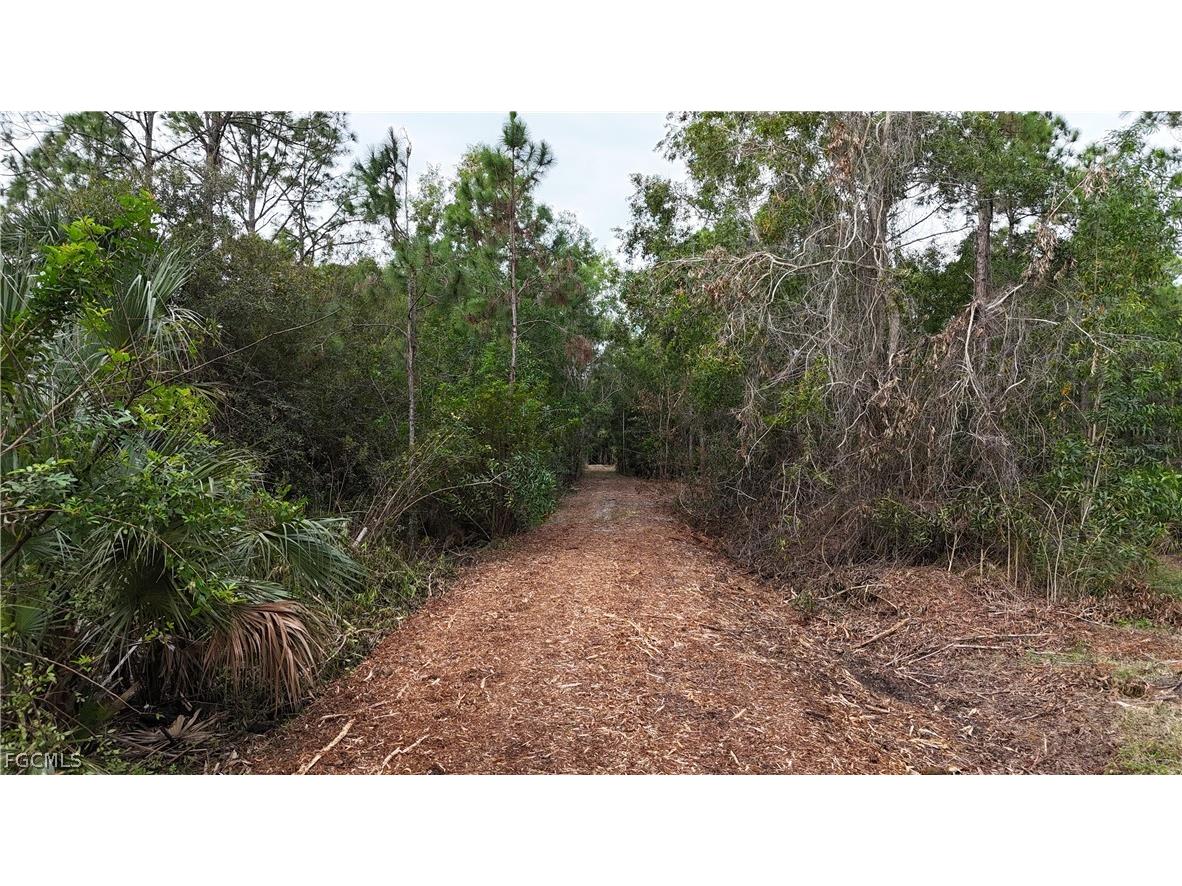  Naples FL 34120 2026008160 image6