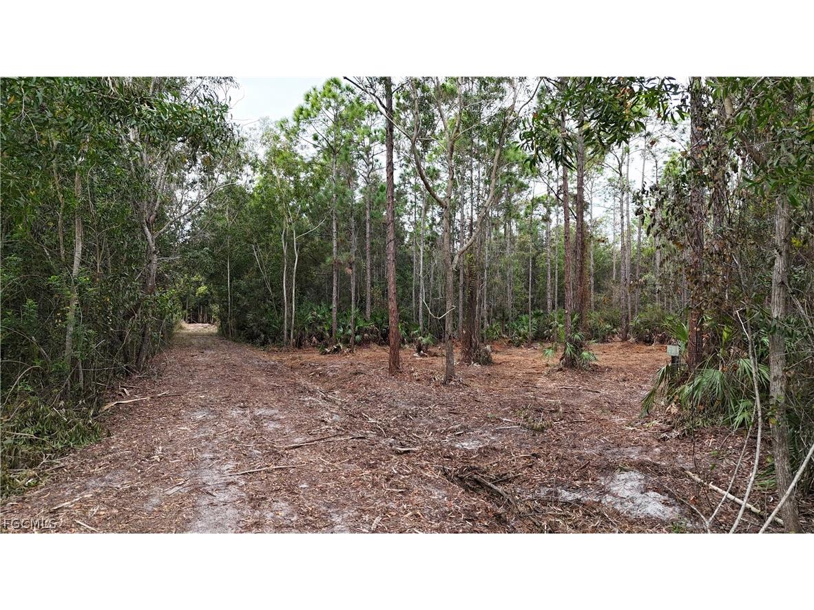  Naples FL 34120 2026008160 image7