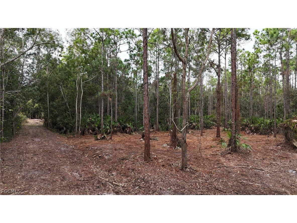  Naples FL 34120 2026008160 image8