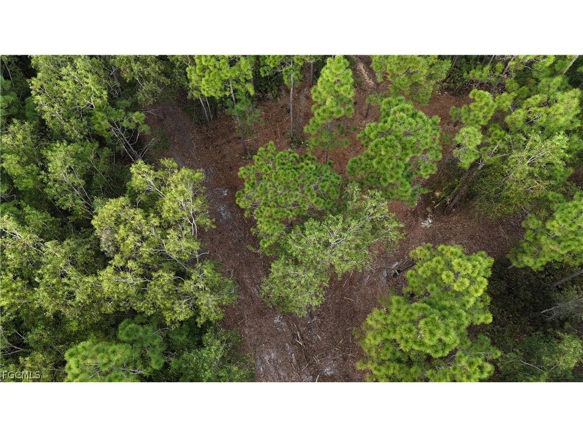  Naples FL 34120 2026008160 image9