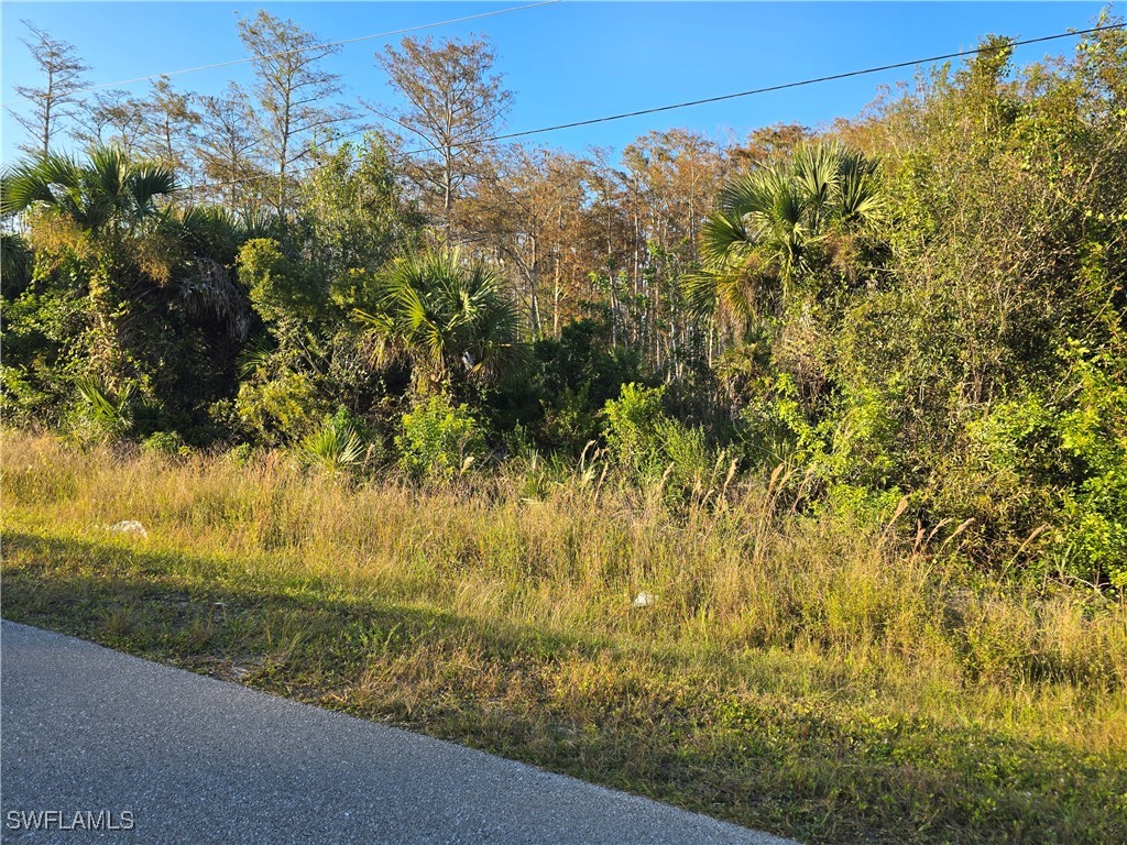  Naples FL 34120 225077900 image5