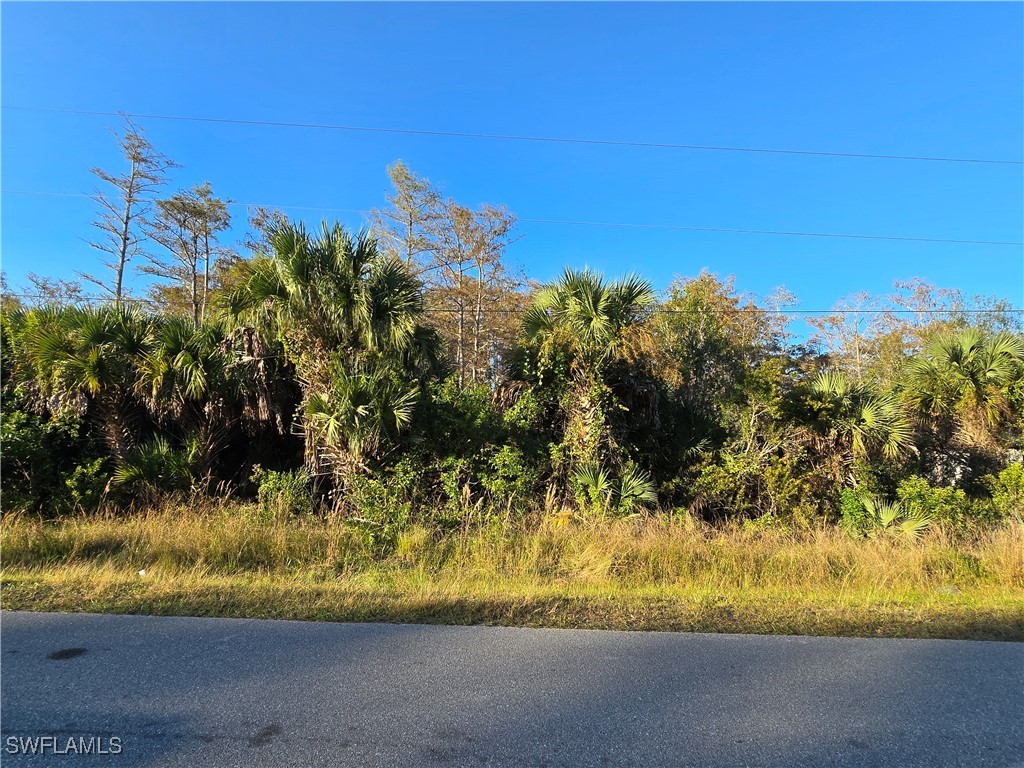  Naples FL 34120 225077900 image6