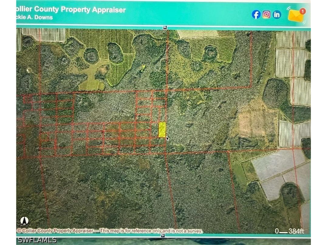  Naples FL 34142 226020590 image5