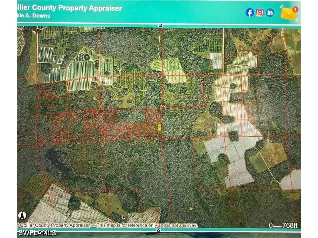 Naples FL 34142 226020590 image6