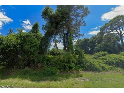 Nellie Lane North Port FL 34286 224032221 image1