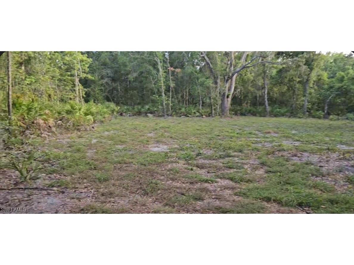 Peace River Woods Wauchula FL 33873 224071086 image1