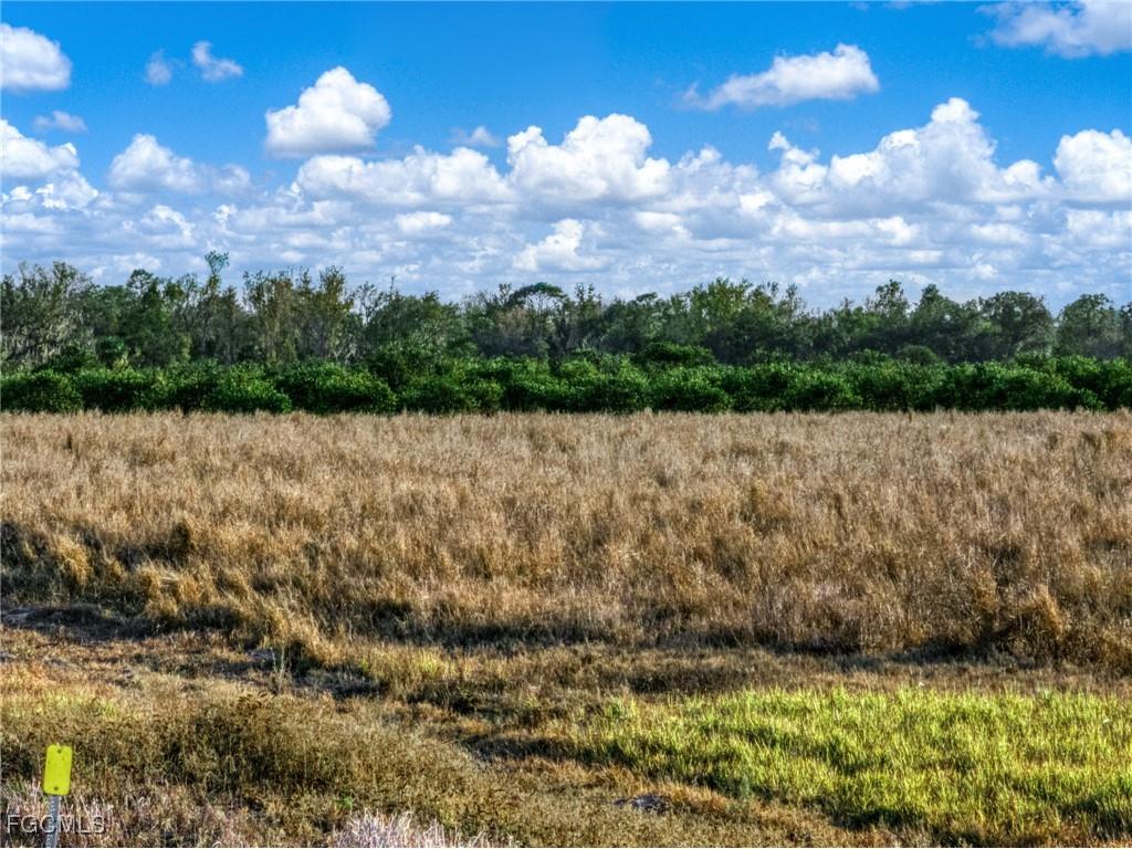 Rest Haven Road Zolfo Springs FL 33890 2026004435 image18